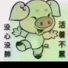 你别瞅，姐很丑的头像
