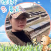 平凡的头像