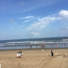 平凡的头像