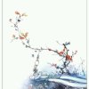 花落、亦相惜的头像