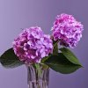 蒯学松37的头像
