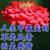 珍惜的头像
