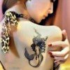 Junny兰大大的头像