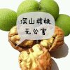 想唱就唱的头像