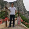诚实的头像