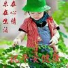 盈儿的头像