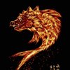 瓶启子哥的头像