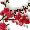 我在这儿的头像