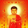 阿弥陀佛，善哉善哉的头像