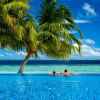 潇洒人生的头像