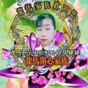 铄凡姥姥(收录好声音)的头像