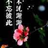 咫尺天涯的头像