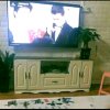少君的头像