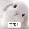 汤姆布利柏的头像