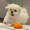 JUNE的头像