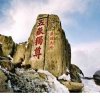 Yz的头像