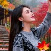 思思退出！的头像
