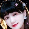 (*¯︶¯*)红红的头像
