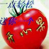 飞龙再线的头像