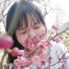 红玫瑰的头像