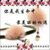 寒星的头像
