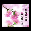过客的头像