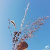 无名的头像