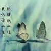 倾听~雨落的头像
