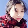 lily的头像
