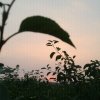 时间去哪儿了的头像