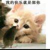 老猫的头像