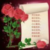 子音幸福快乐《暂离》的头像