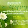 常开心的头像