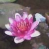 【冷君】的头像