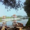 戒不掉的寂寞的头像