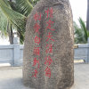 借歌消愁的头像