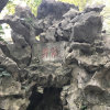 A纯属娱乐的头像