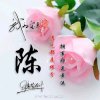 期待…暂退的头像