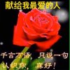 天涯游子（感谢全民相识的所有歌友们）的头像