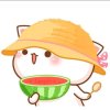 兜里有糖的头像