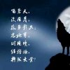蒙古狼的头像