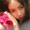 无语的头像