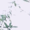 jNi，，生，，yON，Ni的头像