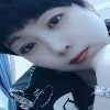 四季如歌的头像