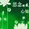 飞燕的头像