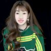 燕子的头像