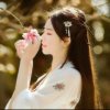 梦之缘《退》的头像