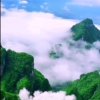 善缘的头像