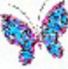 兰色蝴蝶的头像