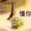 懂你（休息中）的头像
